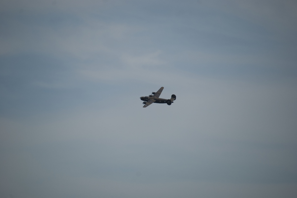 DSC_3431.jpg